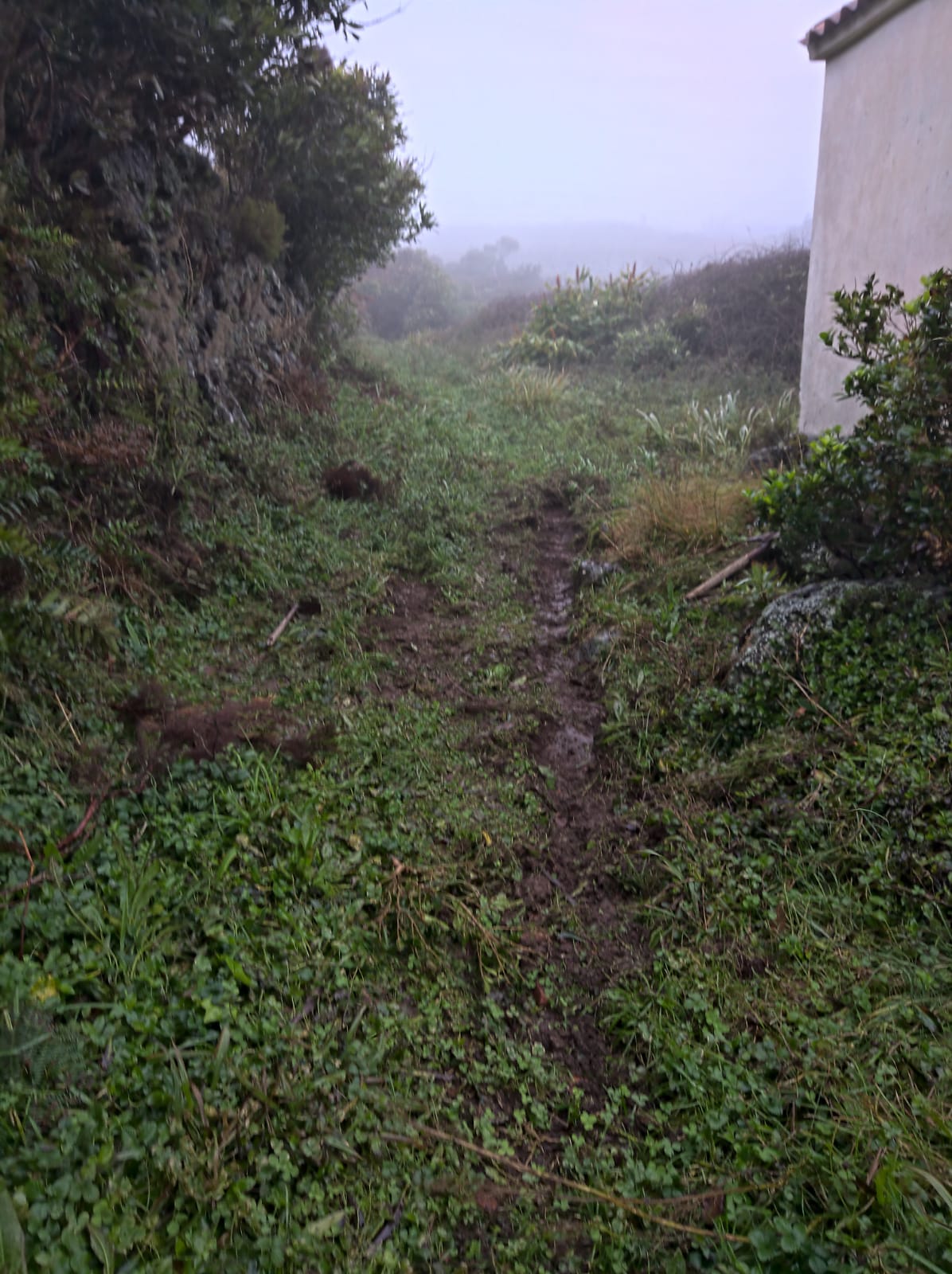 Relheiras
